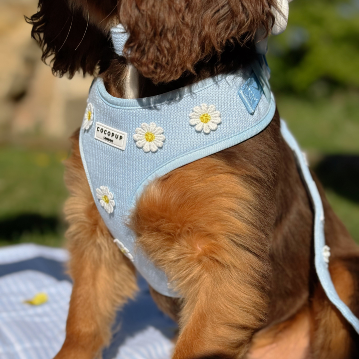 Blue Daisy Dream Adjustable Neck HARNESS