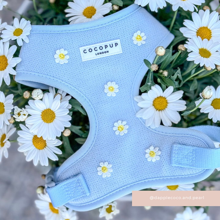 Blue Daisy Dream Adjustable Neck HARNESS