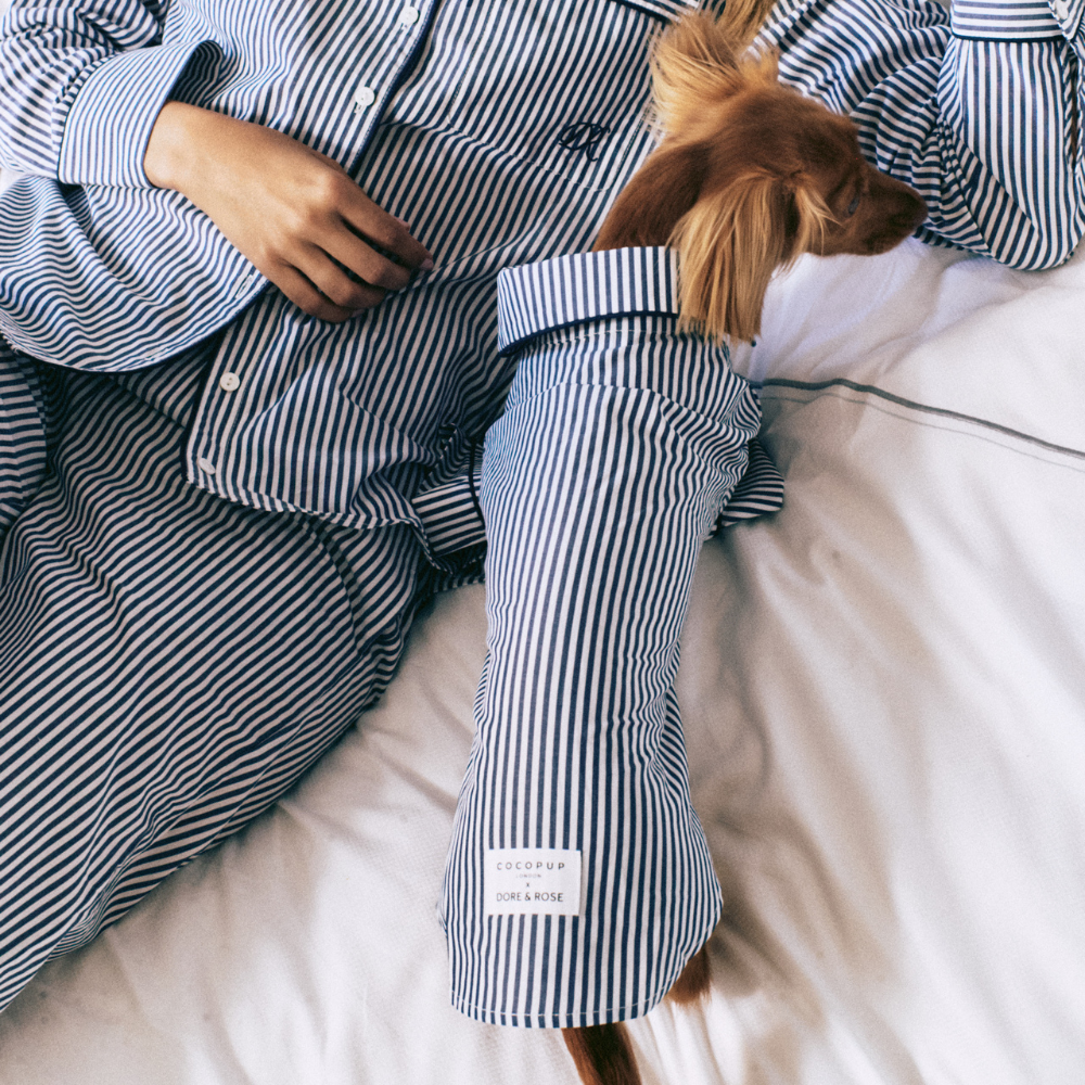 A small brown dog wearing a navy and white striped long-sleeve shirt with a cuff, lying on a white bed next to a person wearing matching striped pajamas. A small white brand label is visible on the cuff.