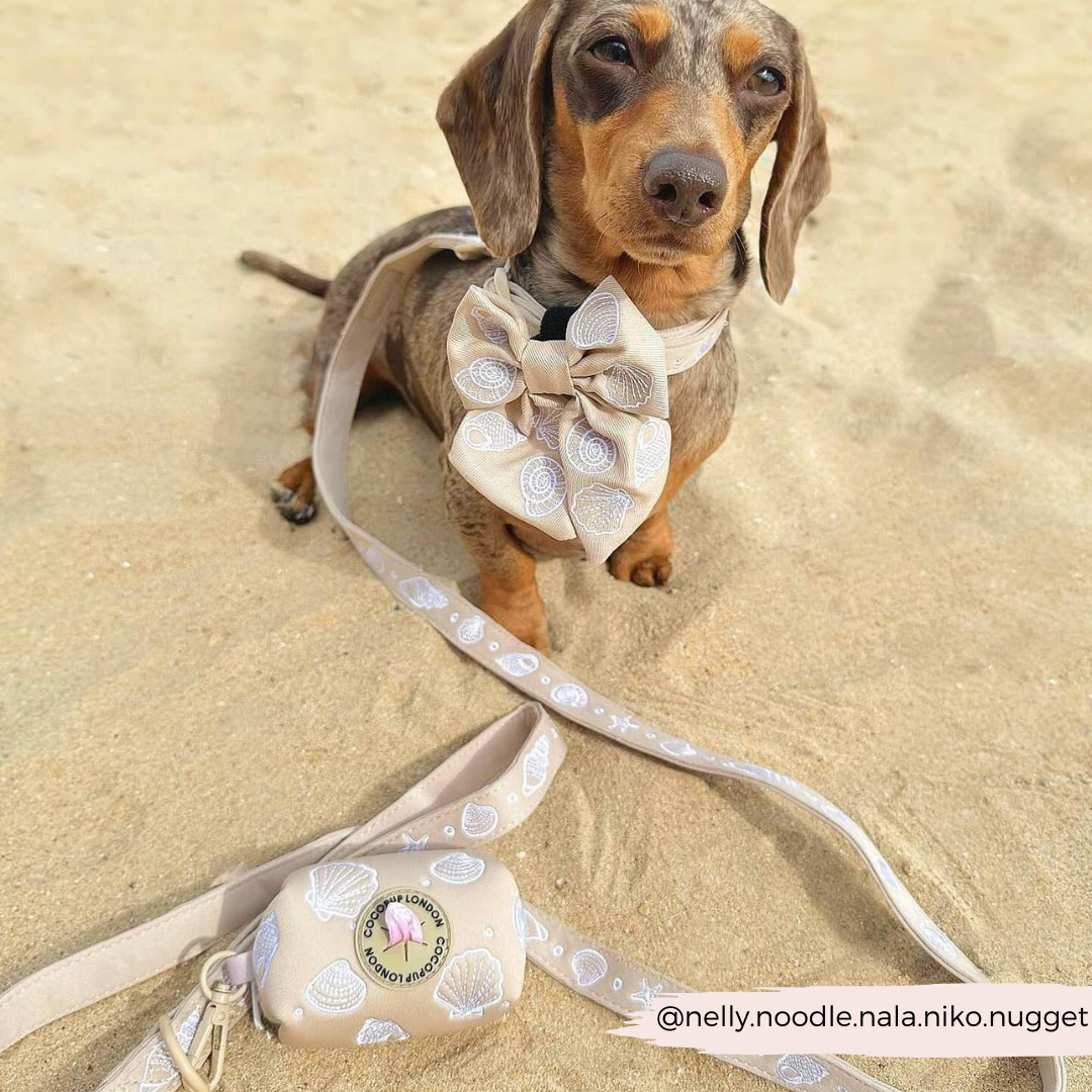 Luxe Seashells Sailor Bow Tie