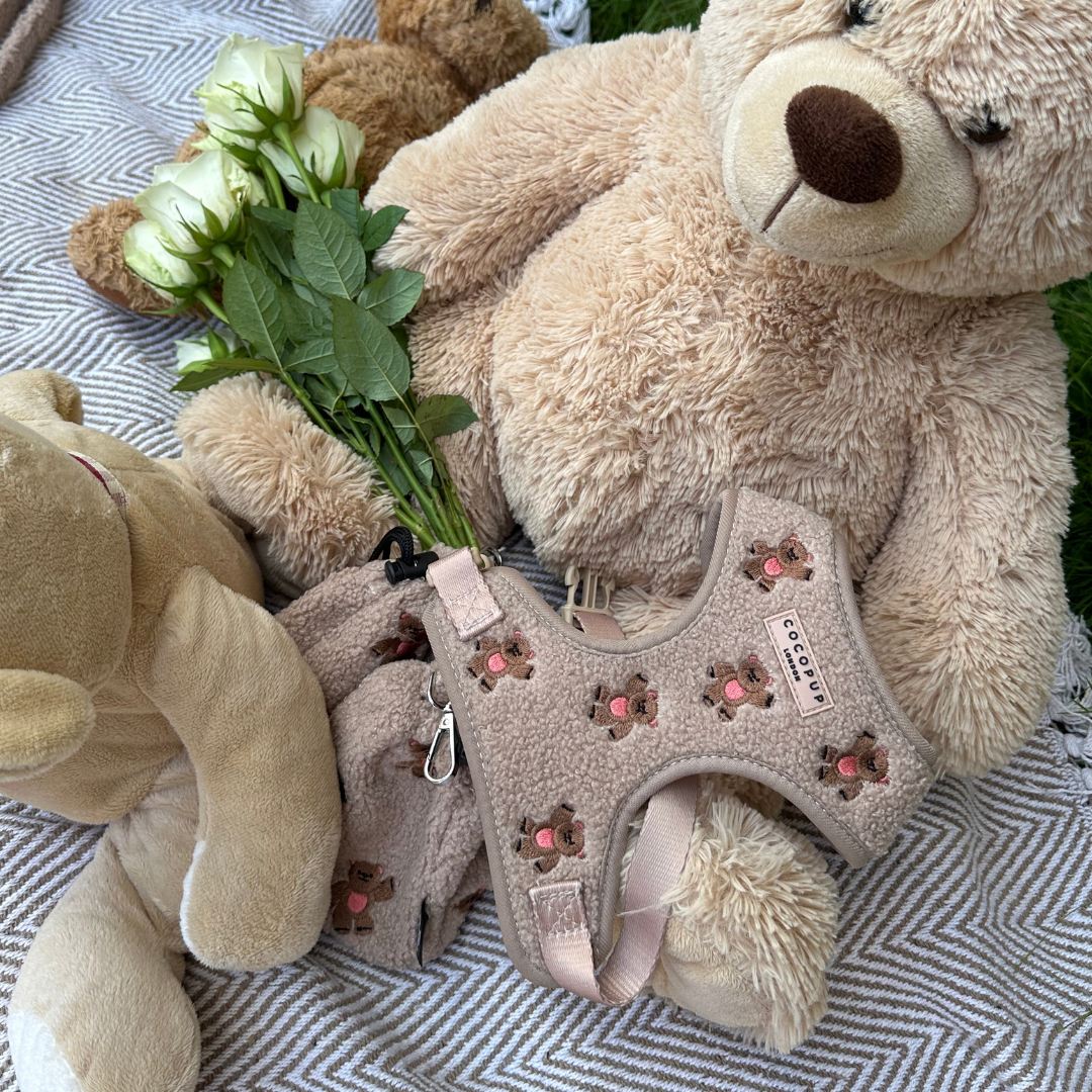 Theo Embroidered Teddy Adjustable Neck Harness