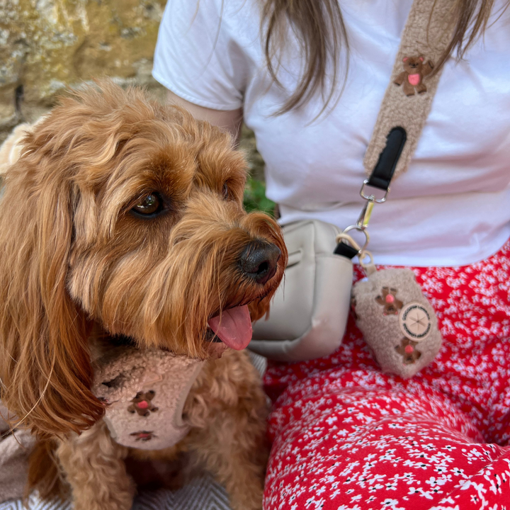 Theo Embroidered Teddy Poop Bag Holder