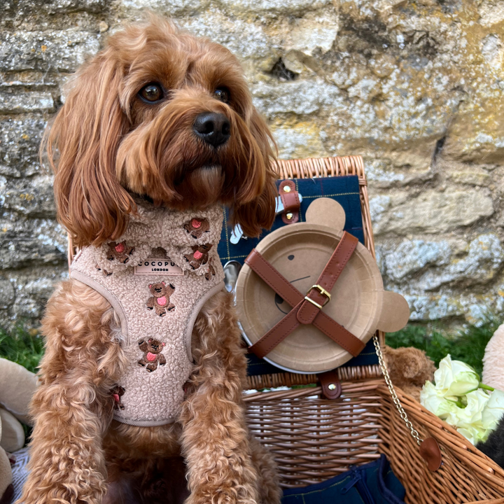 Theo Embroidered Teddy Bow Tie