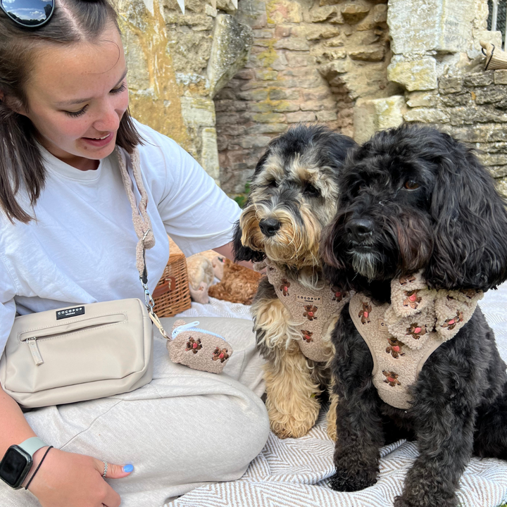 Dog Walking Caramel Latte Bag Bundle - Theo Embroidered Teddy