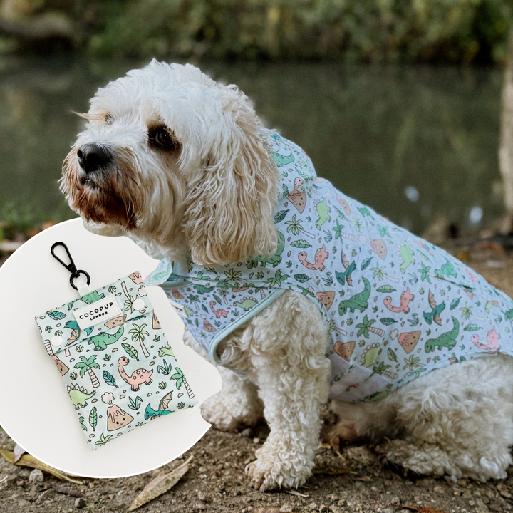 Dog Raincoat - Dinopaws