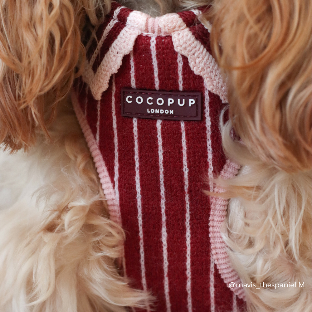 A close-up of a dog wearing a red and white vertically striped knit sweater vest with a brown brand label reading 'COCOPUP LONDON'.