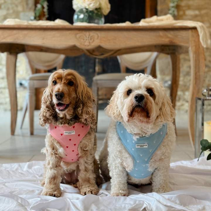 Pink Heartstrings Cord Adjustable Neck HARNESS