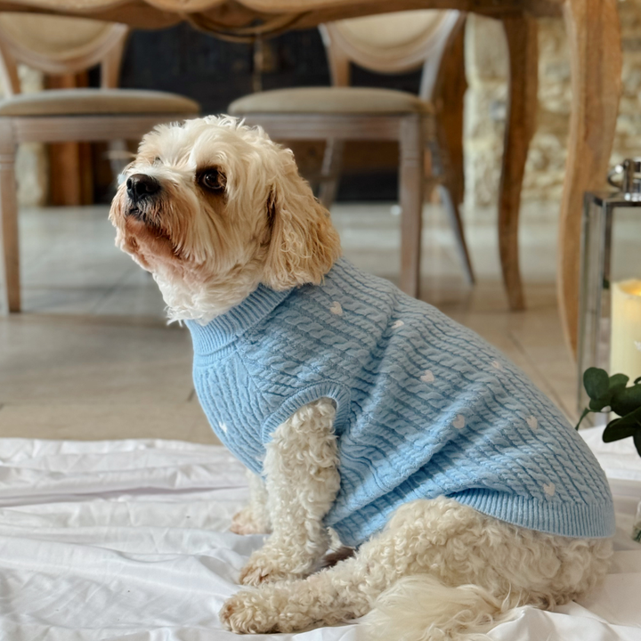 Blue Heartstrings Cord Jumper, Harness & Lead Bundle