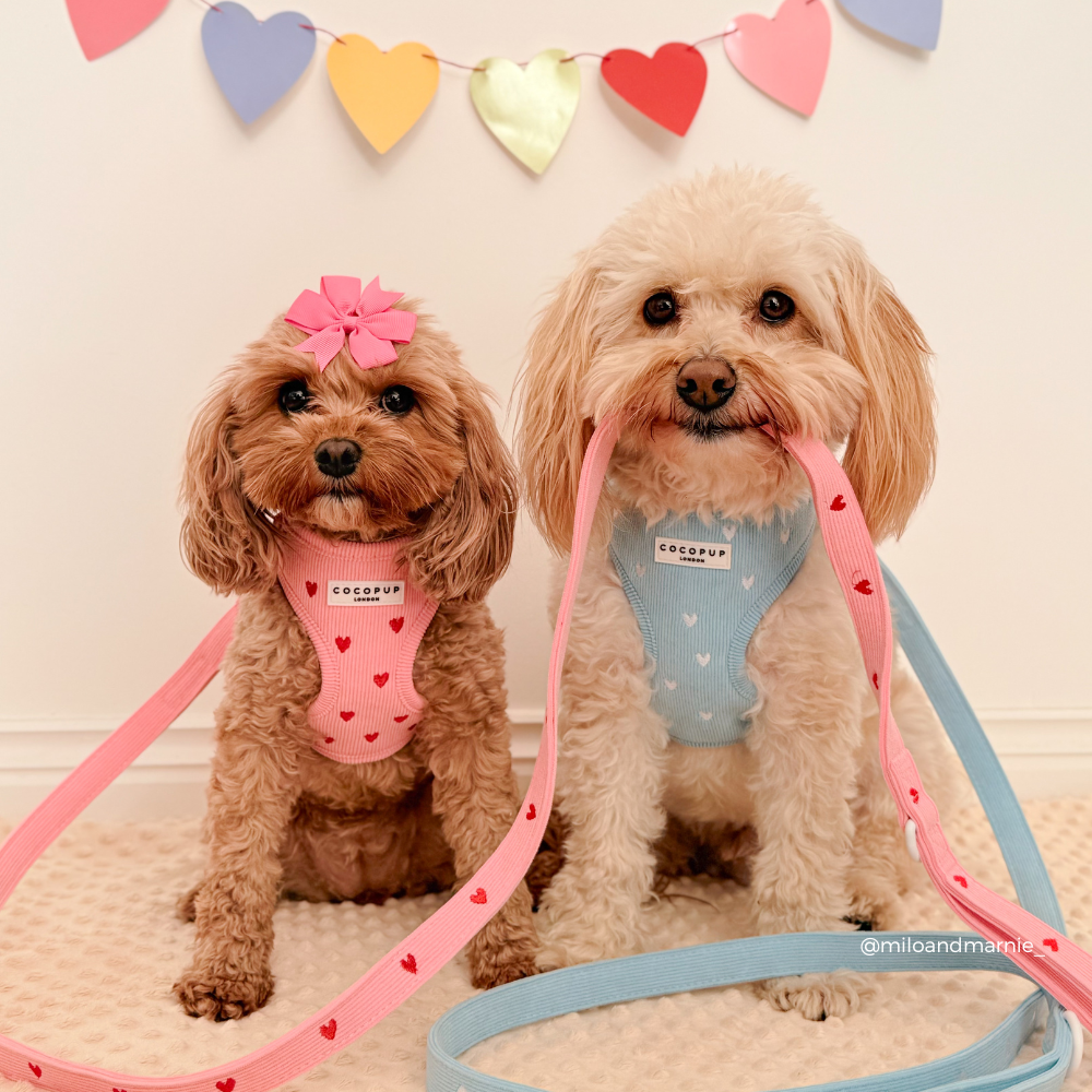 Pink Heartstrings Cord Adjustable Neck HARNESS