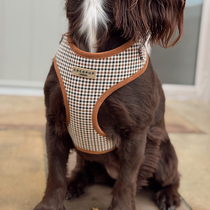 Heritage Check Adjustable Neck HARNESS