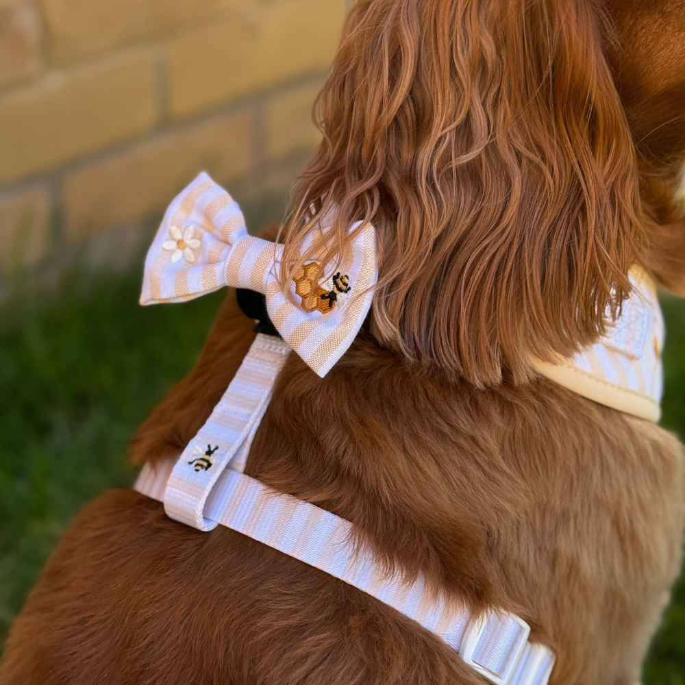 Honey Meadow Bow Tie