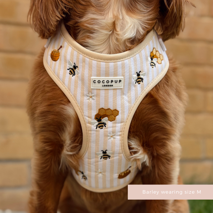 Honey Meadow Adjustable Neck HARNESS