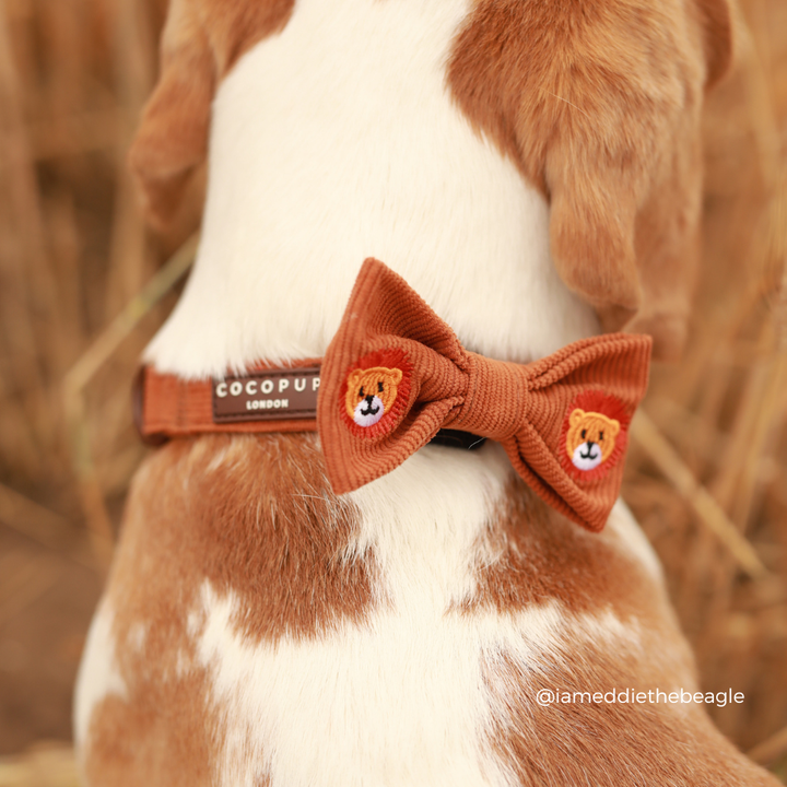 Leo the Lion Bow Tie