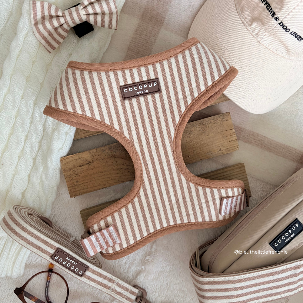 Striped dog harness with 'Cocopup' branding on a textured surface