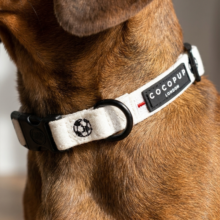Match Day Pup COLLAR
