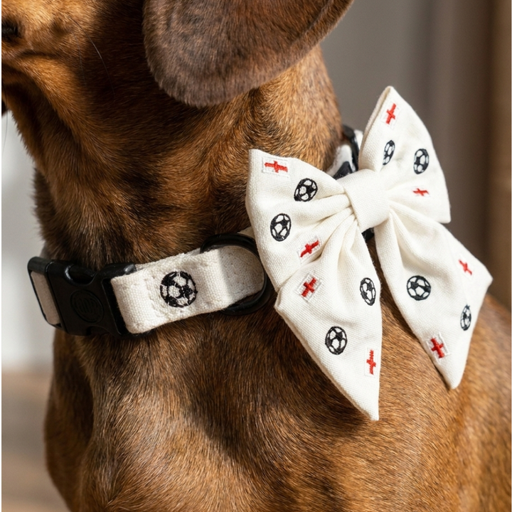 Match Day Pup Sailor Bow Tie