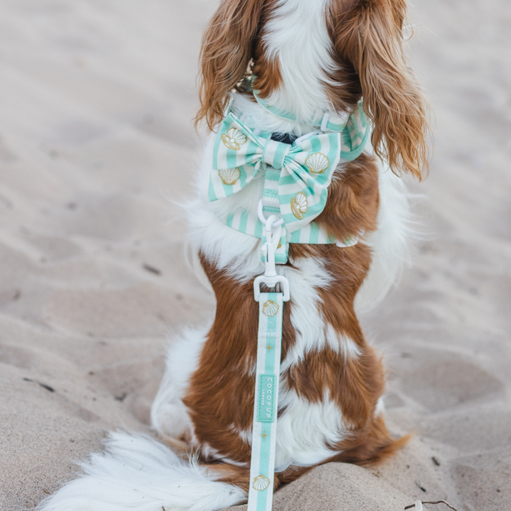 Mermaid Pearl Pup Lead