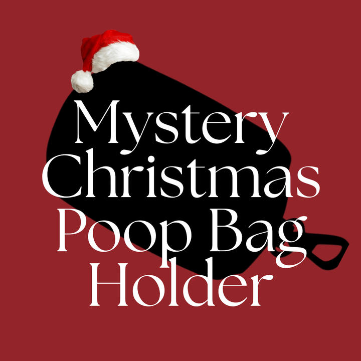 Christmas Mystery Poop Bag Holder