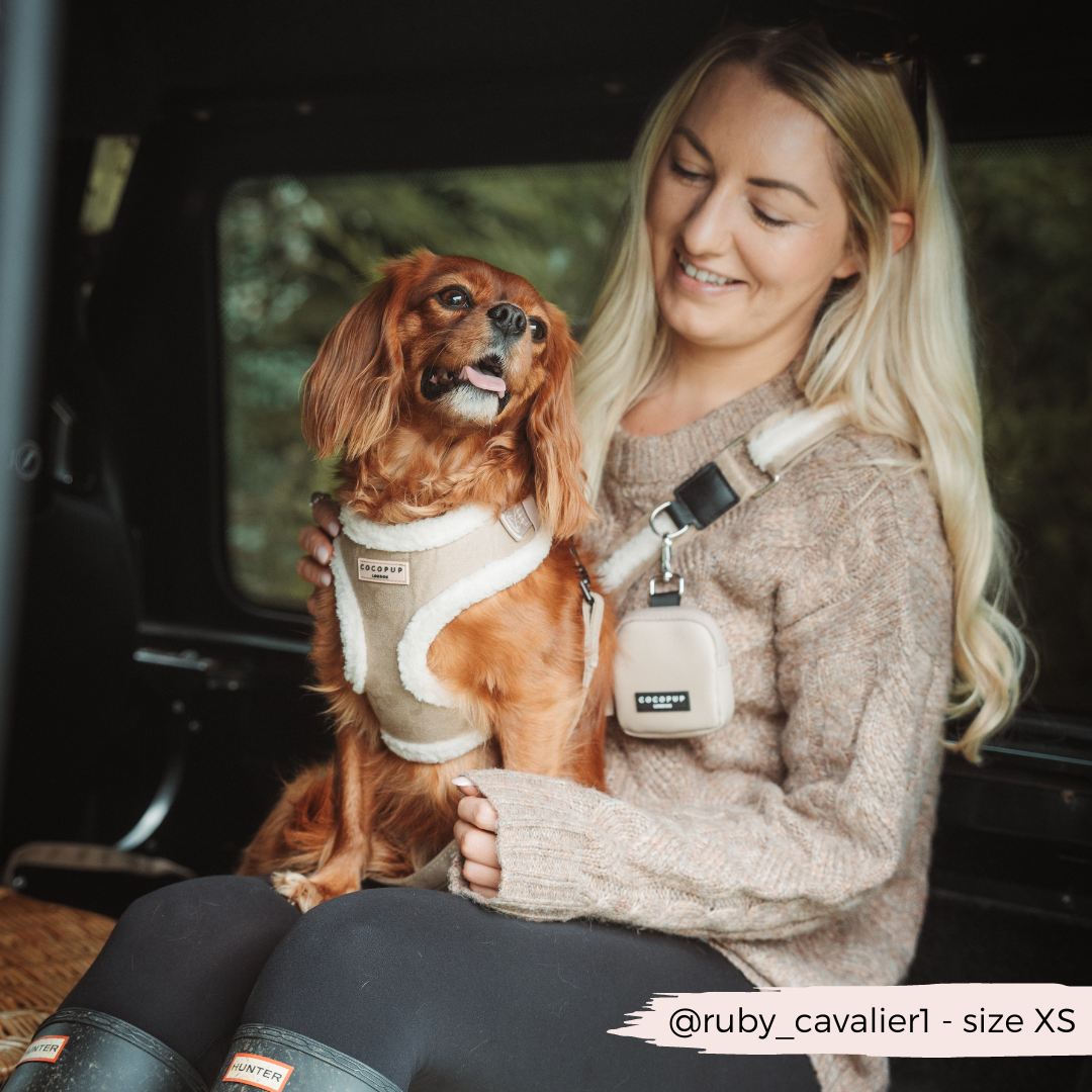 A woman with long blonde hair sits in a vehicle, smiling and holding a small brown dog wearing a beige harness. The dog has long ears and looks content. The woman is dressed in casual attire, including a brown sweater and black leggings, carrying her Cocopup London Bag Strap - Nude Aviator, along with @ruby_cavalier1 - size XS.