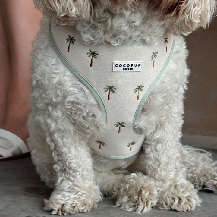 Palm Springs Adjustable Neck HARNESS