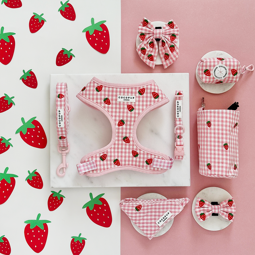 Strawberry Picnic Pup Lead