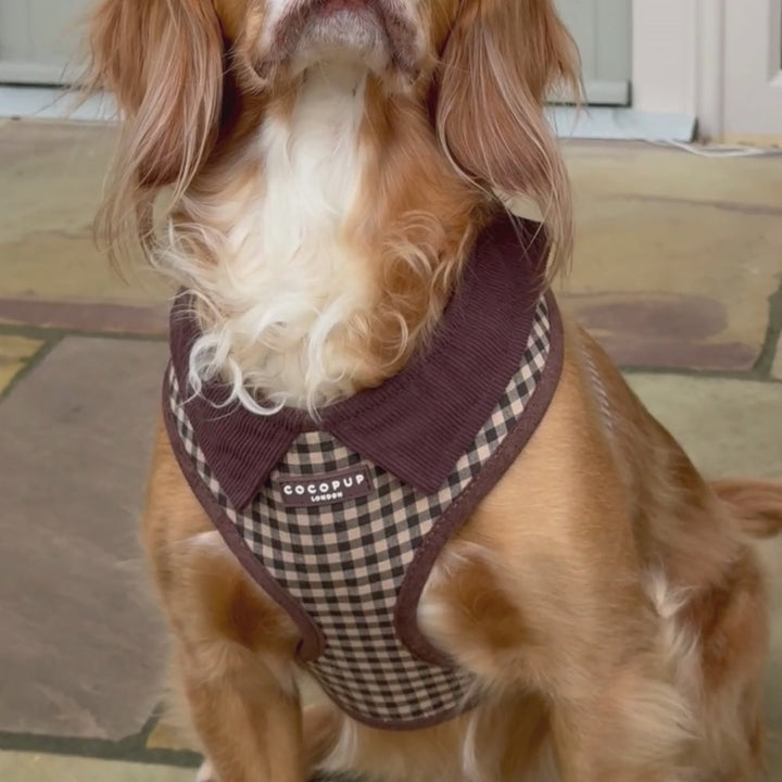 Cotswold Check Adjustable Neck HARNESS