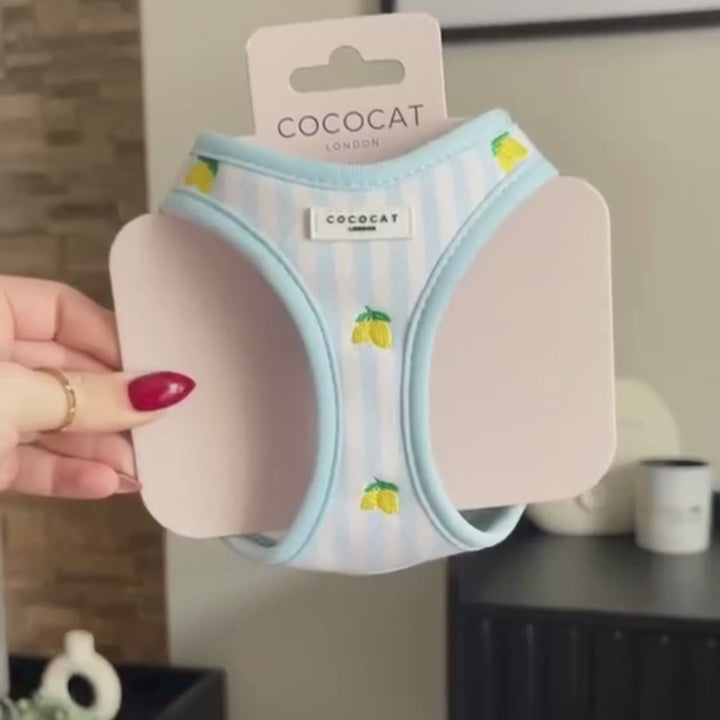 Cat Harness - Living La Vida Lemon