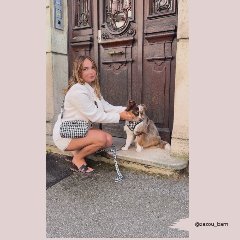 Pup in Paris Dog Walking Bag Bundle - Pup in Paris