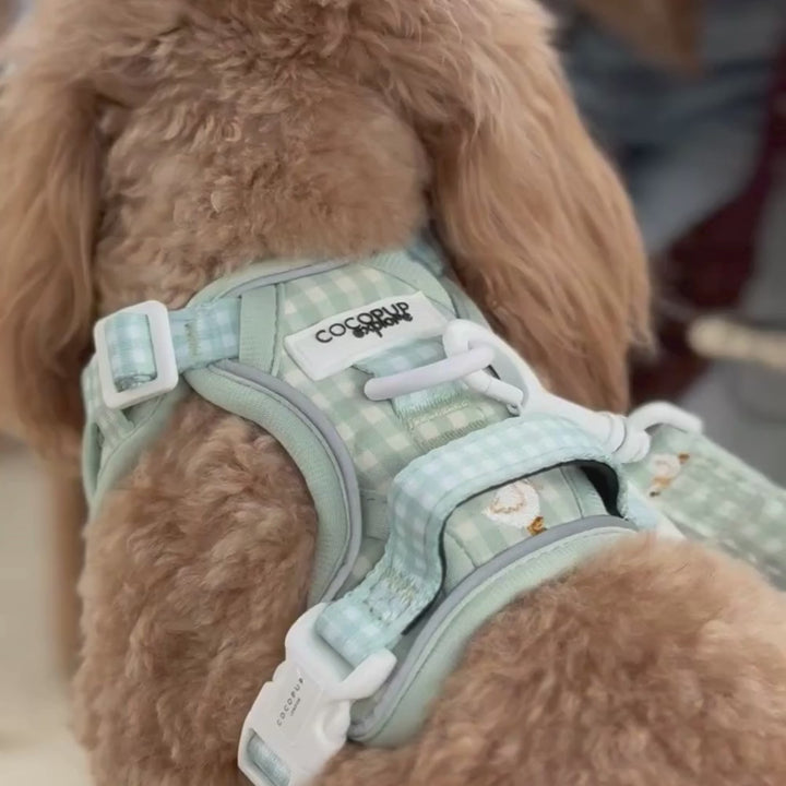 Explore Harness - Silly Goose
