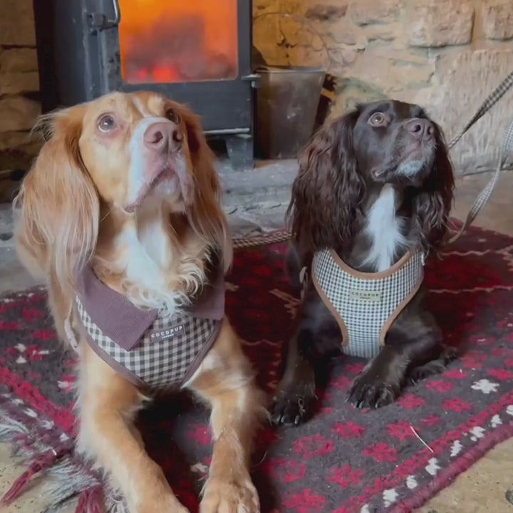 Cotswold Check Adjustable Neck HARNESS
