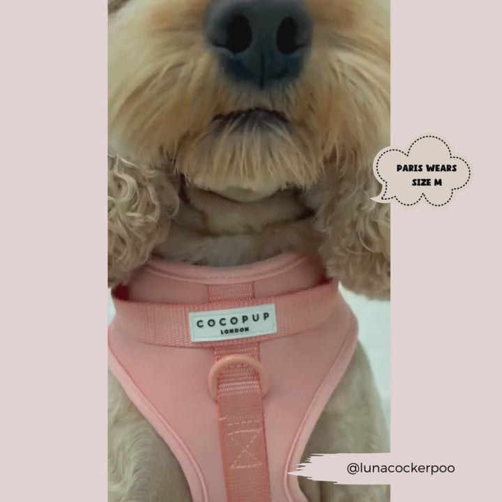 NAKD Adjustable Neck Harness - Peach Floof