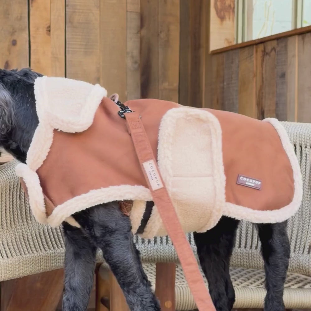 Dog Coat - Brown Aviator