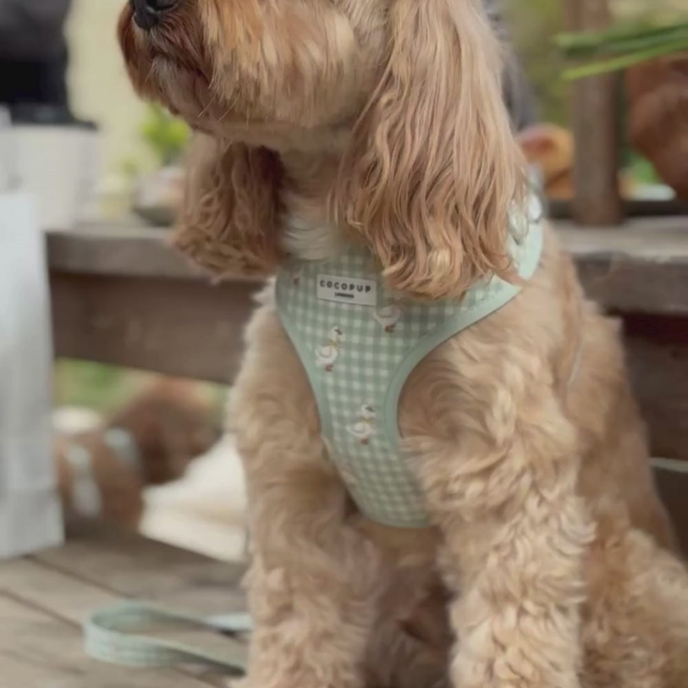 Silly Goose Adjustable Neck HARNESS