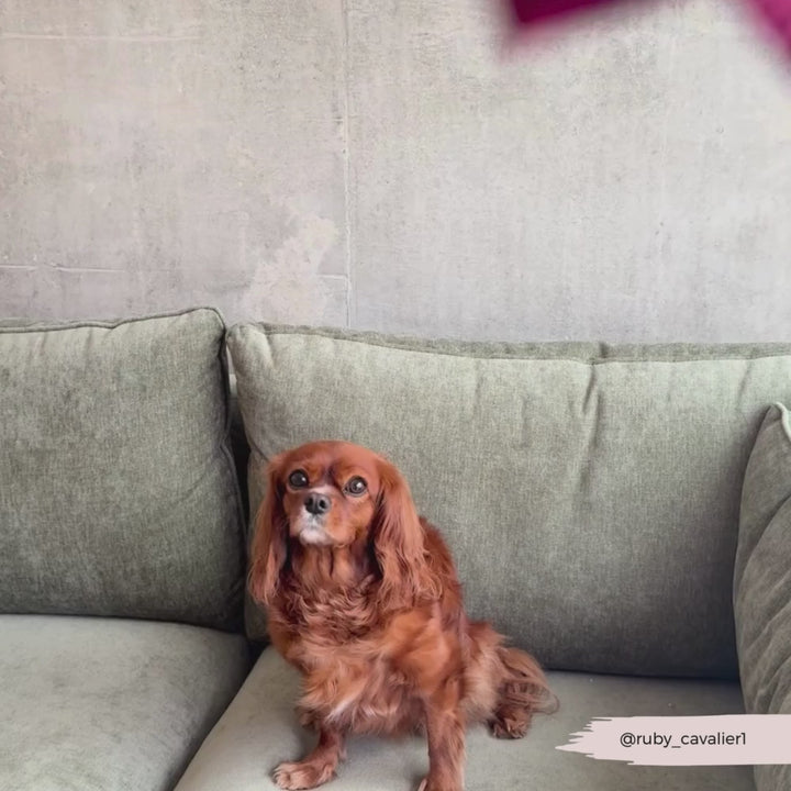 PERSONALISED Quilted Dog Coat - Mulberry Plaid