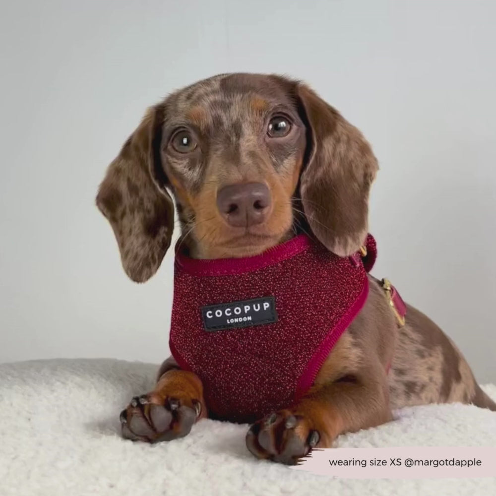 Limited Edition Burgundy Sparkle Pup Adjustable Neck Harness, Lead & Collar Bundle