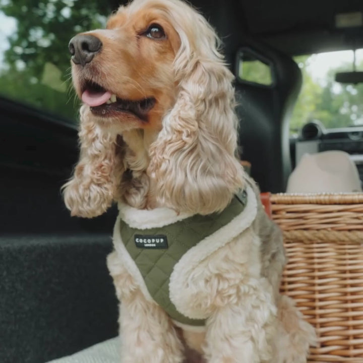 Khaki Quilted Adjustable Neck Harness, Lead & Collar Bundle