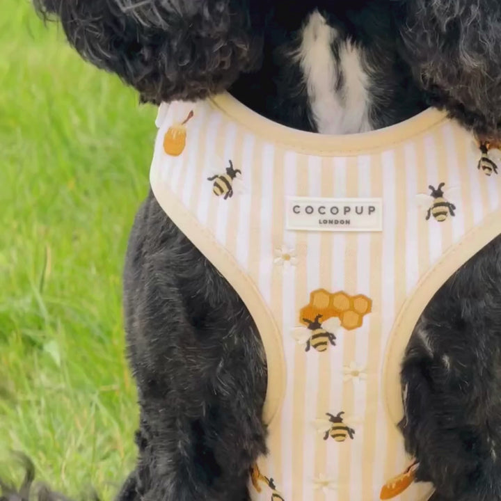 Honey Meadow Adjustable Neck HARNESS