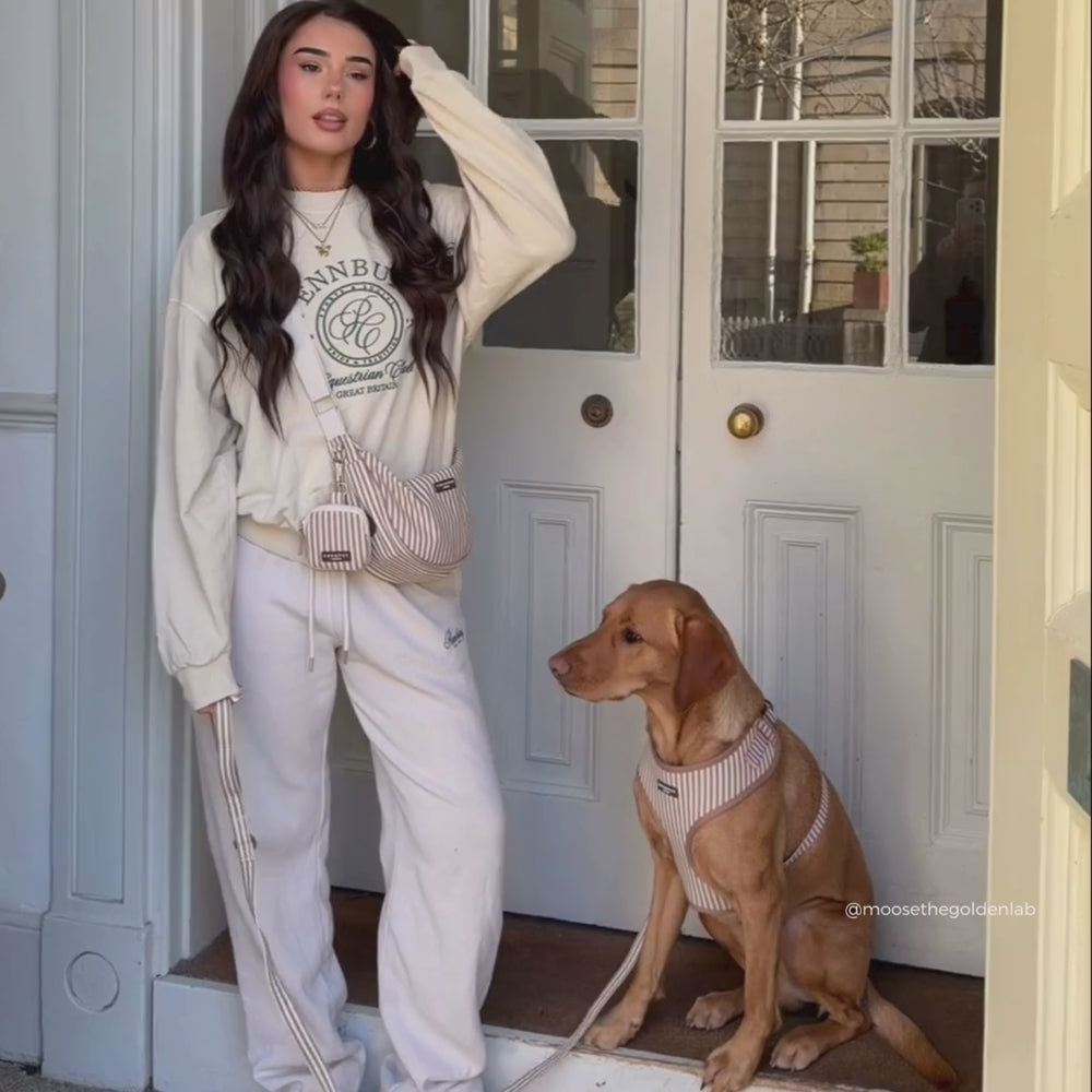 London Linen Stripes Adjustable Neck HARNESS