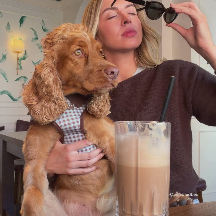 A woman wearing sunglasses and a brown sweater holds a golden-colored dog in a cafe setting. The dog is wearing a brown and blue gingham harness.