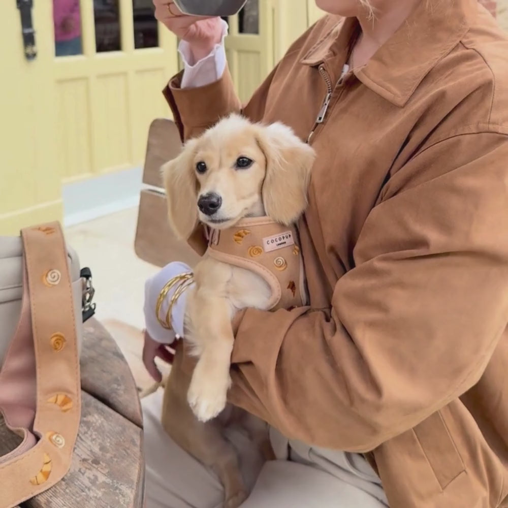 Pawtisserie Adjustable Neck Harness, Lead & Collar Bundle