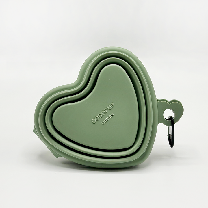 Heart Collapsible Bowl - Sage