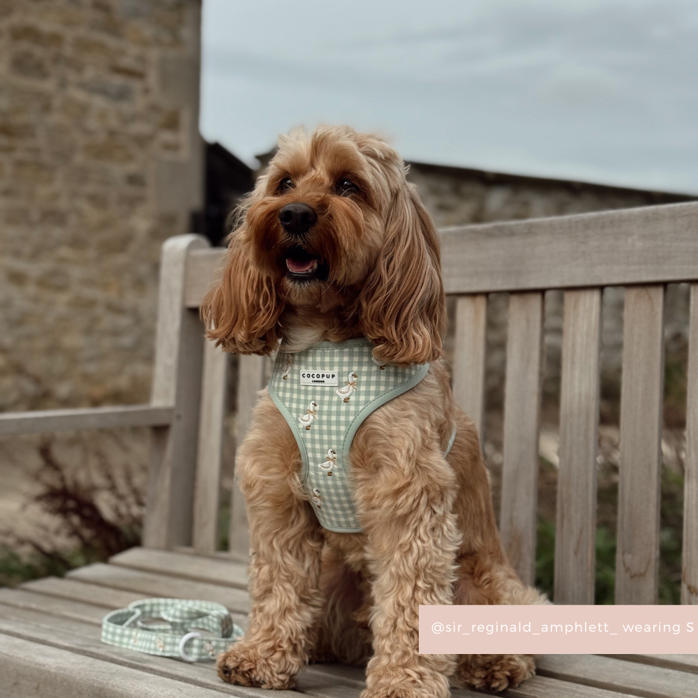 Silly Goose Adjustable Neck HARNESS