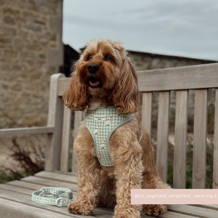 Silly Goose Adjustable Neck HARNESS
