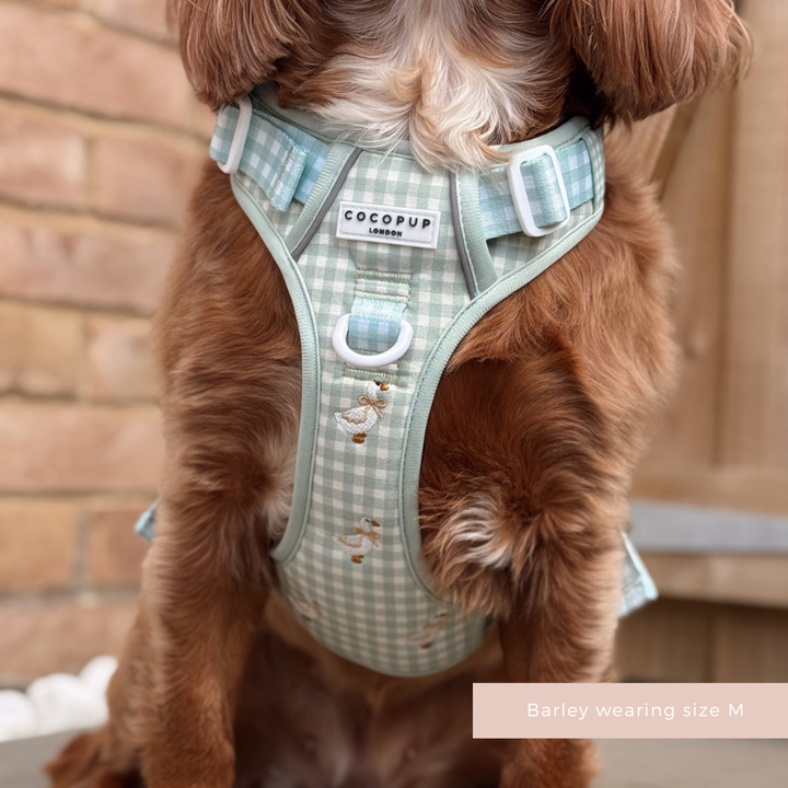 Explore Harness - Silly Goose