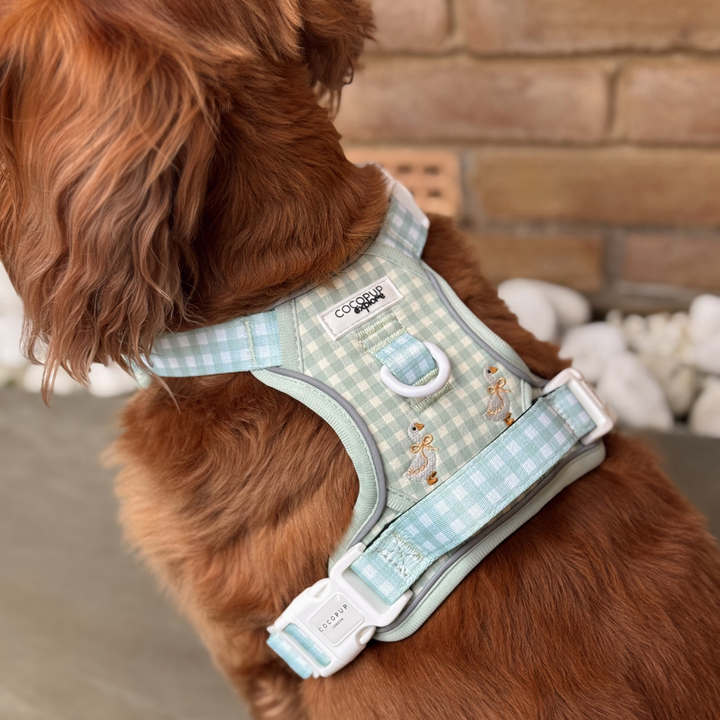 Explore Harness - Silly Goose