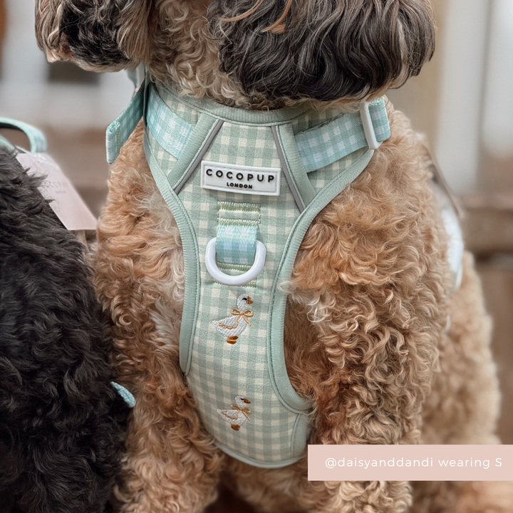 Explore Harness - Silly Goose