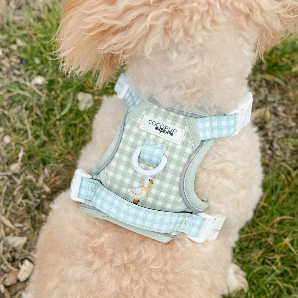 Explore Harness - Silly Goose
