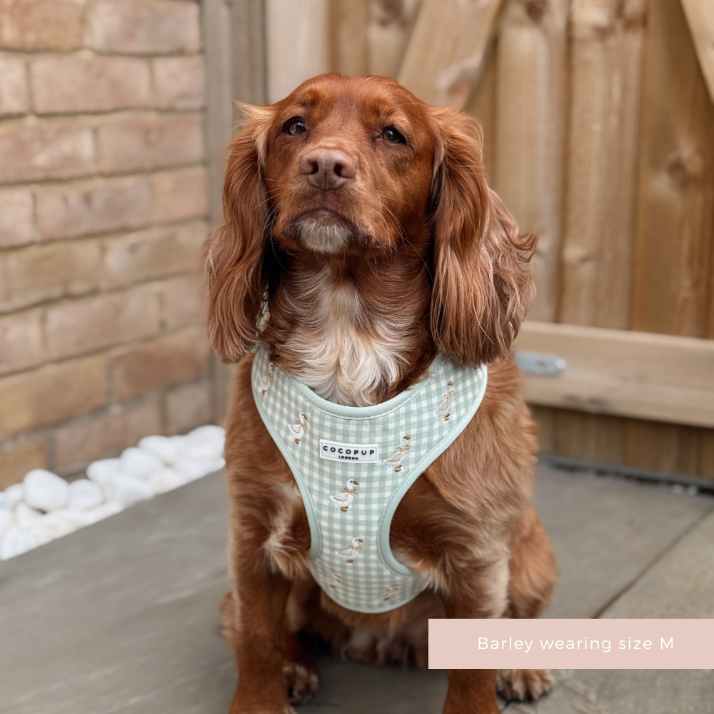 Silly Goose Adjustable Neck HARNESS