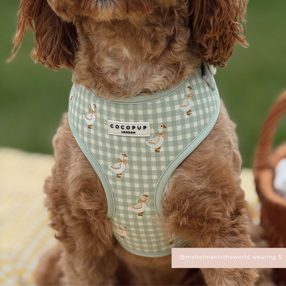 Silly Goose Adjustable Neck HARNESS
