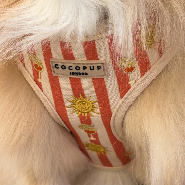 Sunshine & Spritz Adjustable Neck HARNESS